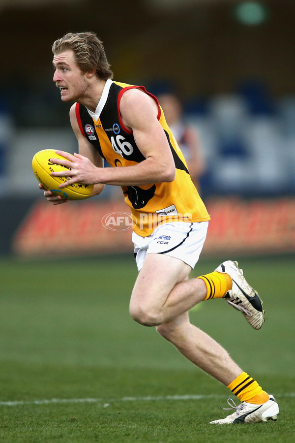 TAC Cup 2017 Round 16 - GWV v Dandenong - 543902