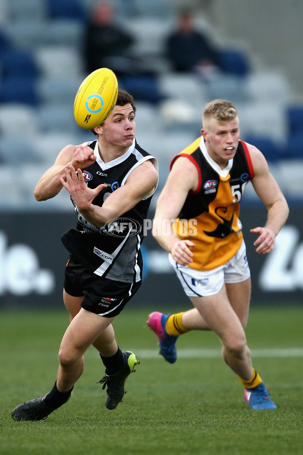 TAC Cup 2017 Round 16 - GWV v Dandenong - 543896