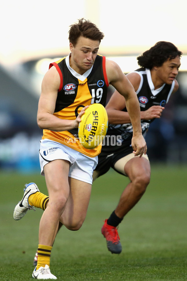 TAC Cup 2017 Round 16 - GWV v Dandenong - 543908