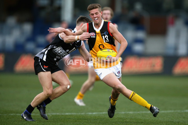 TAC Cup 2017 Round 16 - GWV v Dandenong - 543898