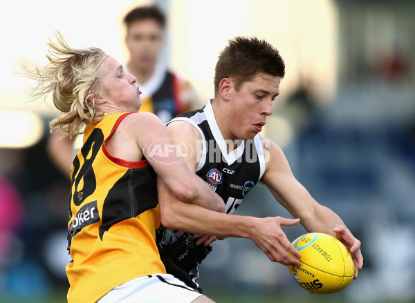 TAC Cup 2017 Round 16 - GWV v Dandenong - 543905