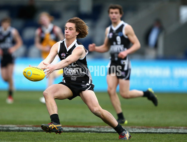 TAC Cup 2017 Round 16 - GWV v Dandenong - 543911