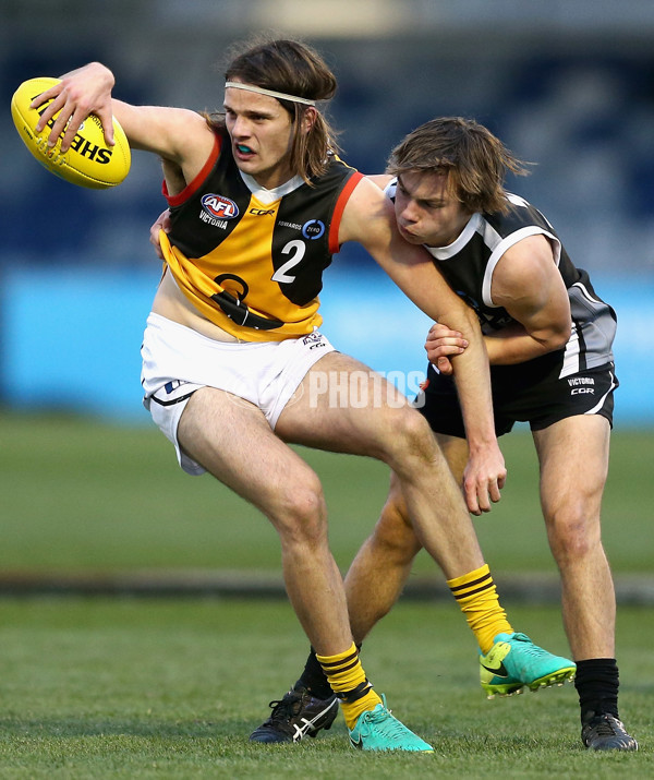 TAC Cup 2017 Round 16 - GWV v Dandenong - 543915