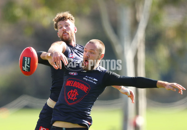 AFL 2017 Training - Melbourne 240817 - 544295