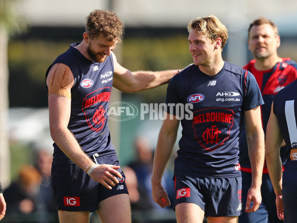 AFL 2017 Training - Melbourne 240817 - 544310