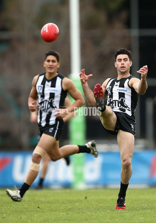 VFL 2017 Rd 19 - Collingwood v Port Melbourne - 544703