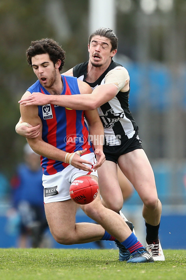 VFL 2017 Rd 19 - Collingwood v Port Melbourne - 544681