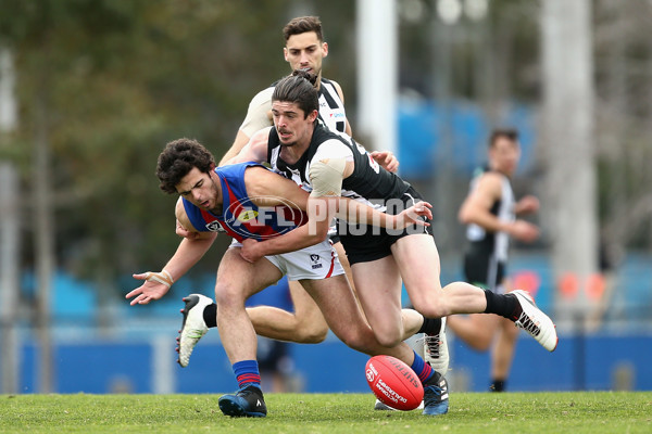 VFL 2017 Rd 19 - Collingwood v Port Melbourne - 544682