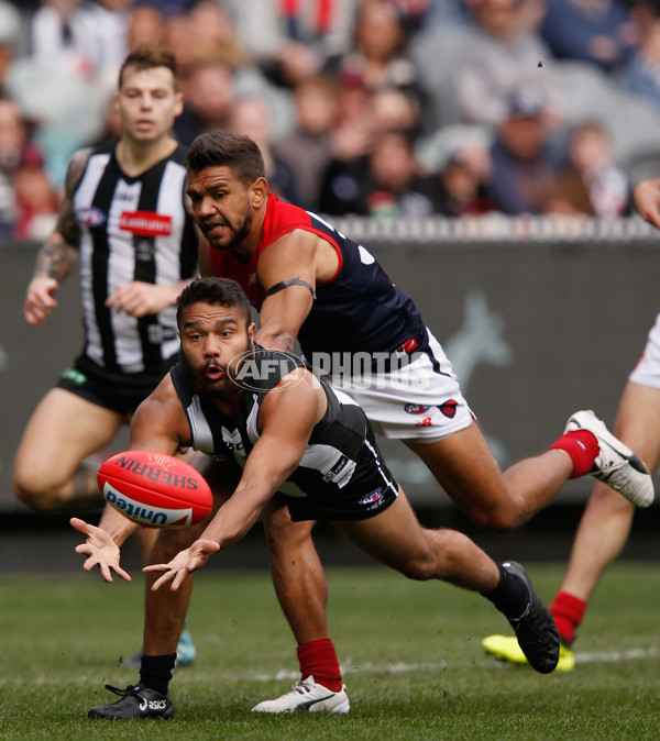 AFL 2017 Round 23 - Collingwood v Melbourne - 544806