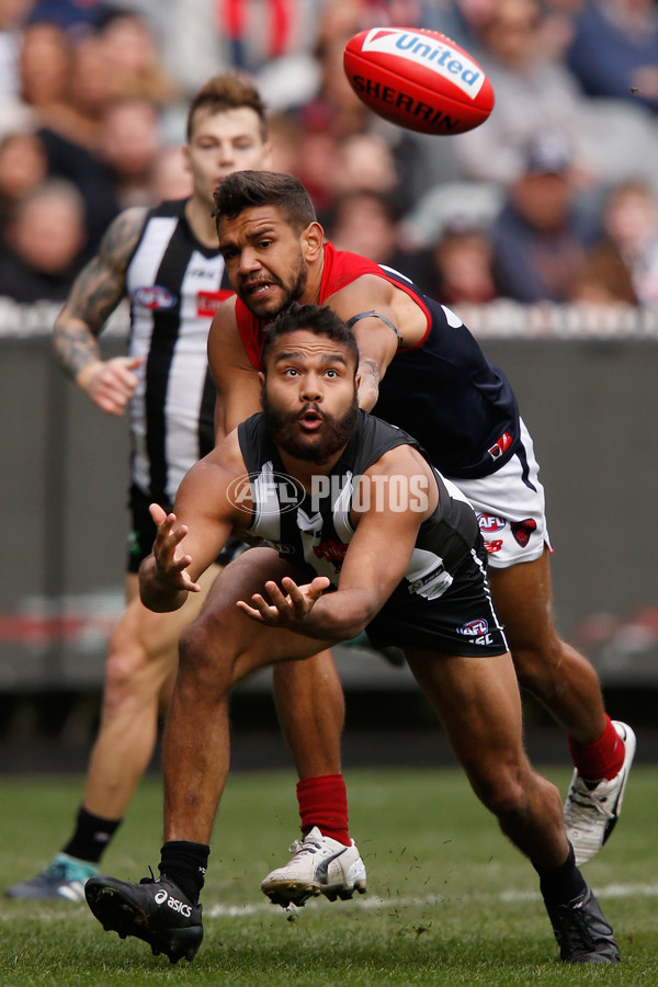 AFL 2017 Round 23 - Collingwood v Melbourne - 544808