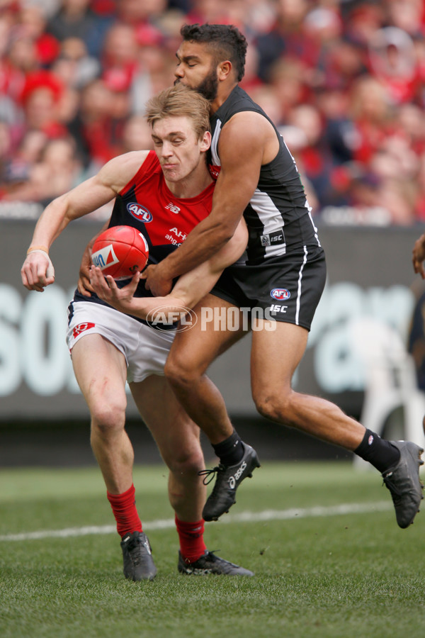 AFL 2017 Round 23 - Collingwood v Melbourne - 545045