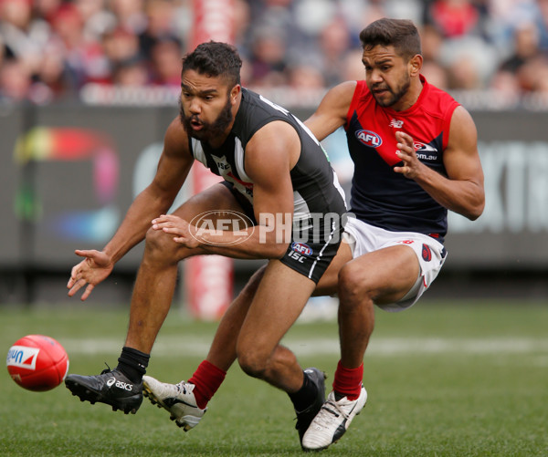 AFL 2017 Round 23 - Collingwood v Melbourne - 545046