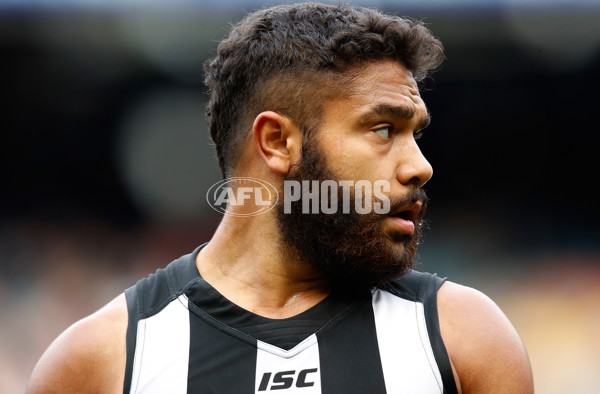 AFL 2017 Round 23 - Collingwood v Melbourne - 545116