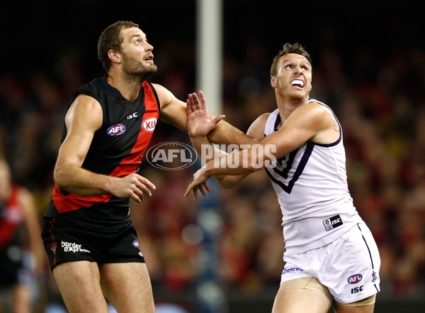 AFL 2017 Round 23 - Essendon v Fremantle - 545604