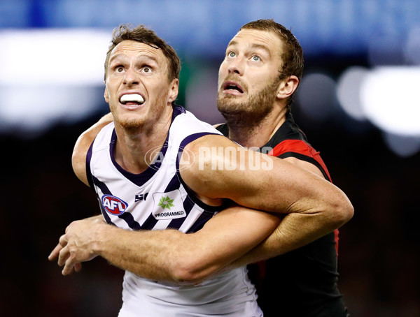 AFL 2017 Round 23 - Essendon v Fremantle - 546321