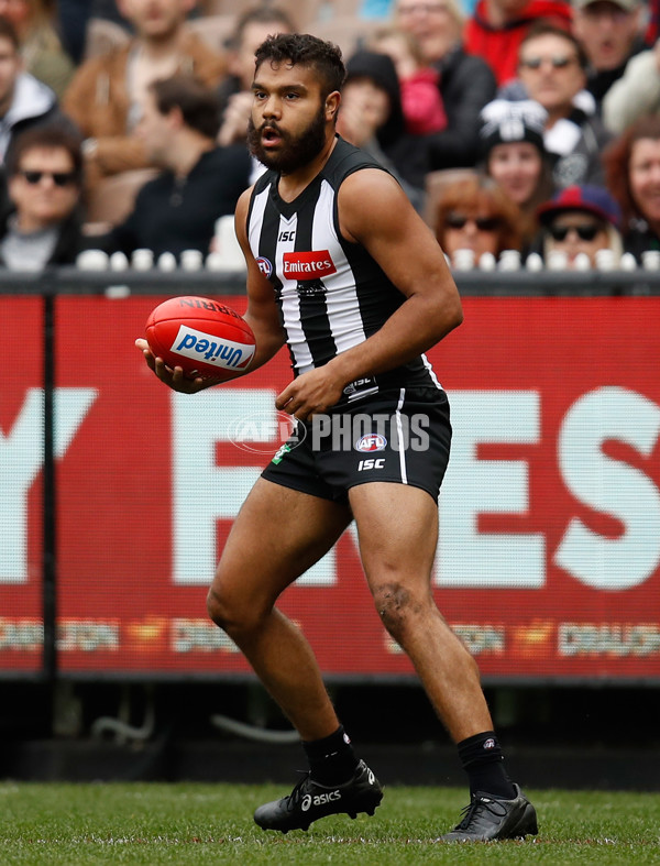 AFL 2017 Round 23 - Collingwood v Melbourne - 546429