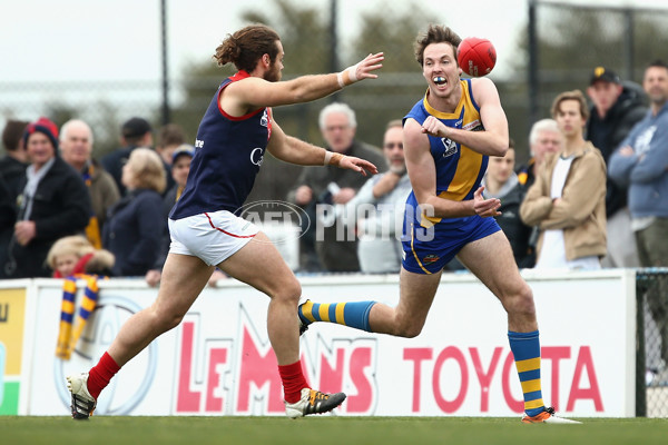 VFL 2017 1st Qualifying Final - Williamstown v Casey Demons - 547191