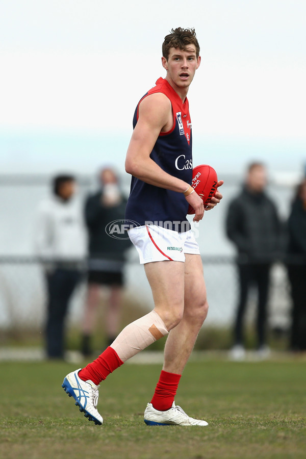 VFL 2017 1st Qualifying Final - Williamstown v Casey Demons - 547207