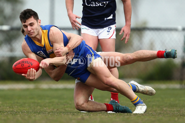 VFL 2017 1st Qualifying Final - Williamstown v Casey Demons - 547210