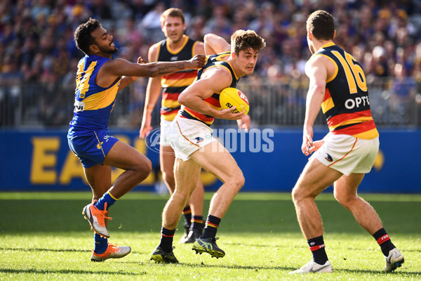 AFL 2019 Round 21 - West Coast v Adelaide - 704857