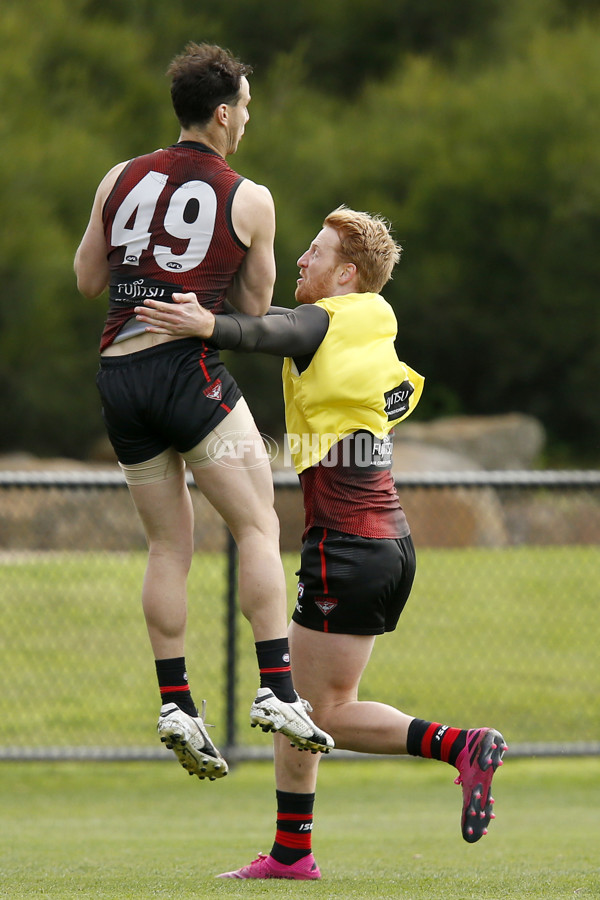 AFL 2019 Training - Essendon 140819 - 705442