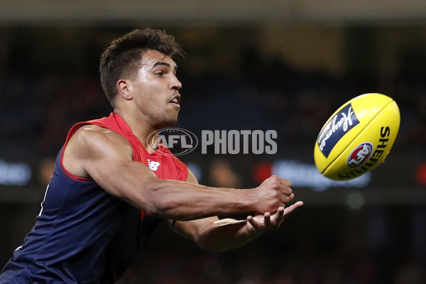 AFL 2019 Round 22 - Melbourne v Sydney - 705748