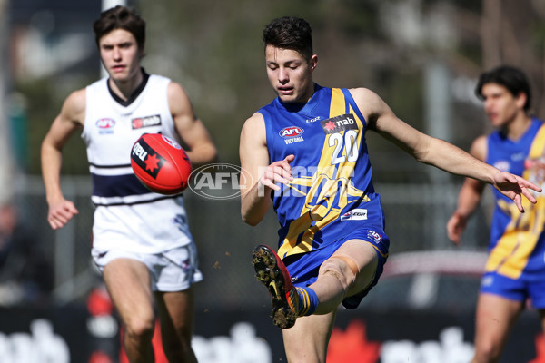 NAB League Boys 2019 Round 17 - Western Jets v Northern Knights - 705887