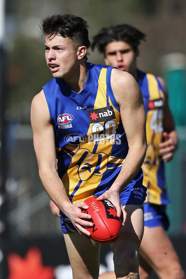 NAB League Boys 2019 Round 17 - Western Jets v Northern Knights - 705886