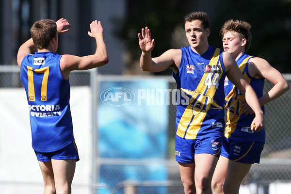 NAB League Boys 2019 Round 17 - Western Jets v Northern Knights - 705912