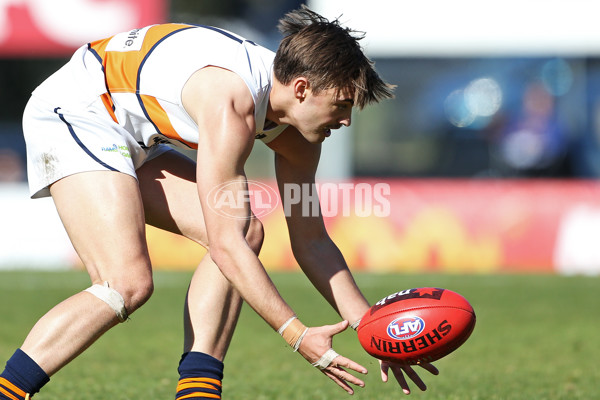 NAB League Boys 2019 Round 17 - Calder Cannons v Eastern Ranges - 706175