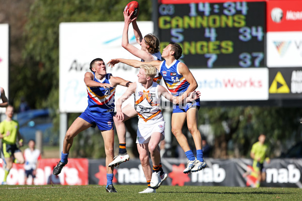 NAB League Boys 2019 Round 17 - Calder Cannons v Eastern Ranges - 706172