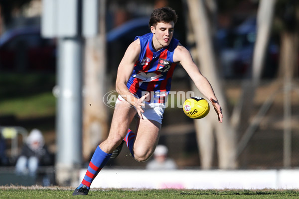 NAB League Boys 2019 Round 17 - Sandringham Dragons v Oakleigh Chargers - 706379