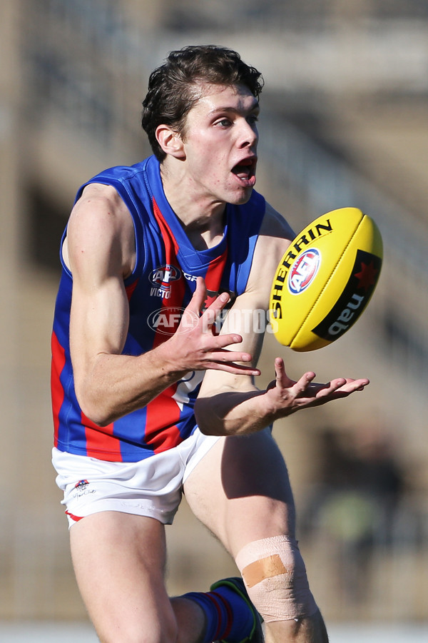 NAB League Boys 2019 Round 17 - Sandringham Dragons v Oakleigh Chargers - 706392