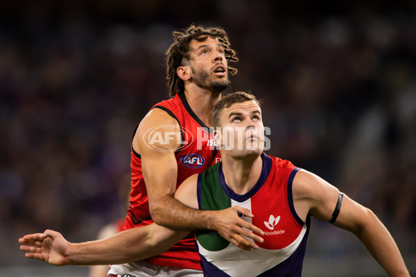 AFL 2019 Round 22 - Fremantle v Essendon - 706657