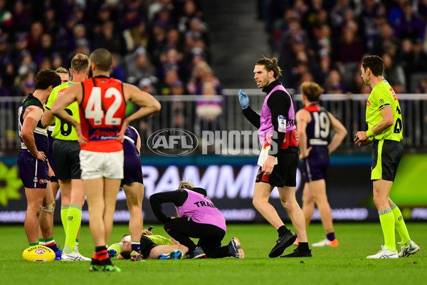 AFL 2019 Round 22 - Fremantle v Essendon - 706788