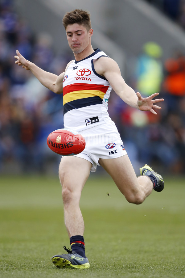 AFL 2019 Round 23 - Western Bulldogs v Adelaide - 709436