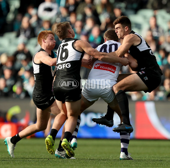 AFL 2019 Round 23 - Port Adelaide v Fremantle - 709641