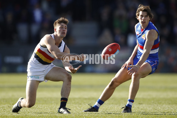 AFL 2019 Round 23 - Western Bulldogs v Adelaide - 709608