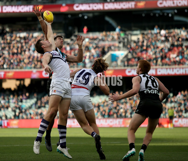 AFL 2019 Round 23 - Port Adelaide v Fremantle - 709645