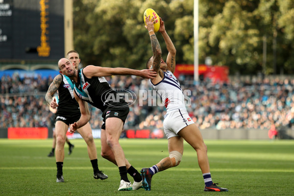 AFL 2019 Round 23 - Port Adelaide v Fremantle - 709738