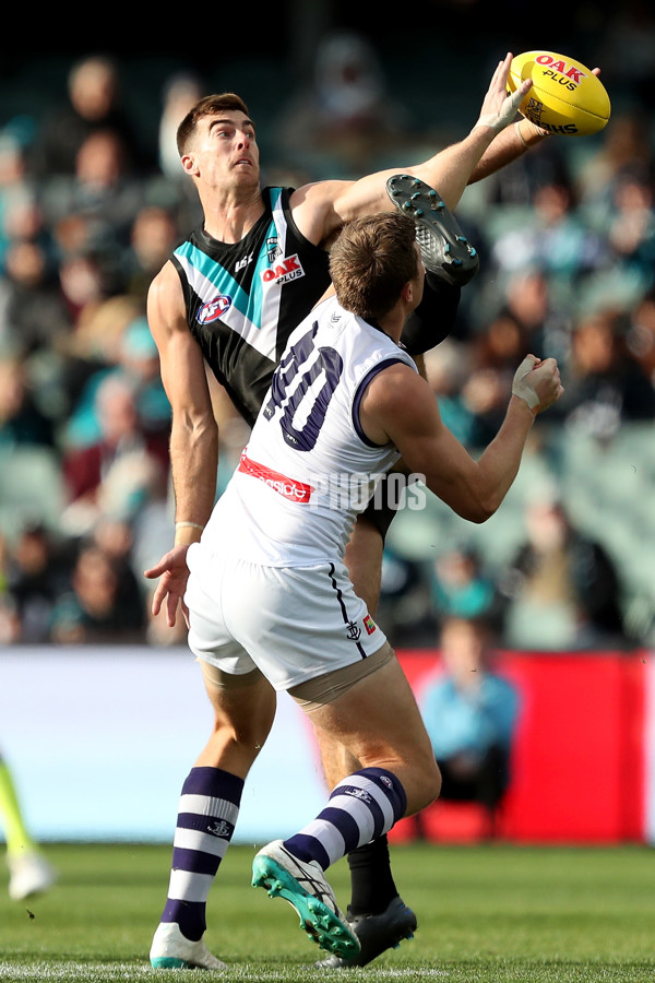 AFL 2019 Round 23 - Port Adelaide v Fremantle - 709907