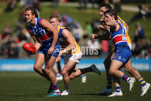 VFL 2019 Qualifying Final 2 - Footscray v Williamstown - 711085