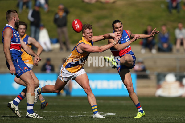 VFL 2019 Qualifying Final 2 - Footscray v Williamstown - 711110