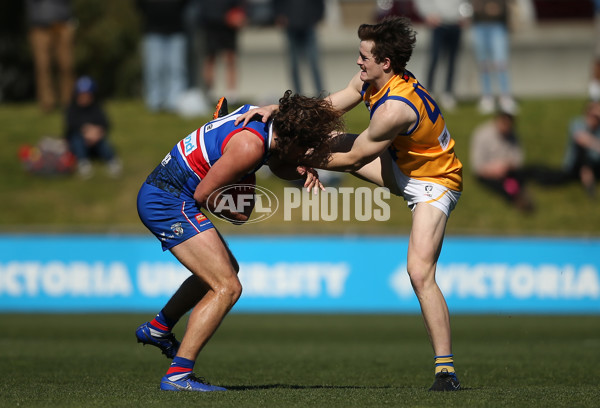 VFL 2019 Qualifying Final 2 - Footscray v Williamstown - 711102