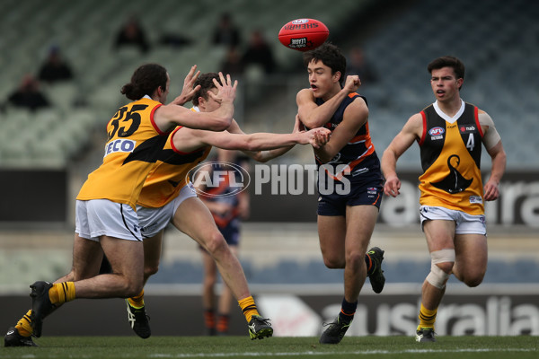 NAB League 2019 1st Elimination Final - Calder v Dandenong - 711151