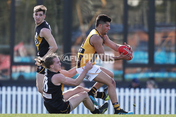 VFL 2019 Elimination Final - Werribee v Box Hill - 711259