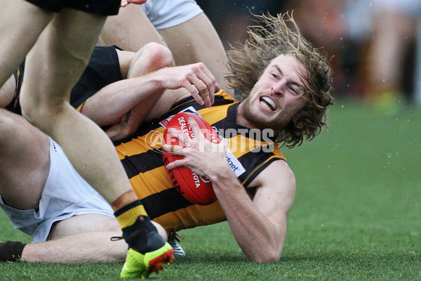 VFL 2019 Elimination Final - Werribee v Box Hill - 711294