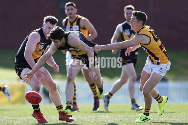 VFL 2019 Elimination Final - Werribee v Box Hill - 711265