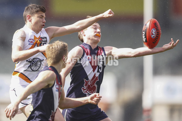 NAB League 2019 1st Semi Final - Sandringham v Calder - 712801
