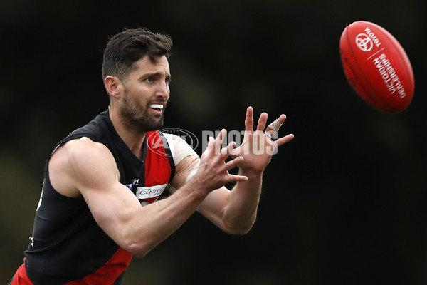 VFL 2019 2nd Semi Final - Essendon v Werribee - 713721